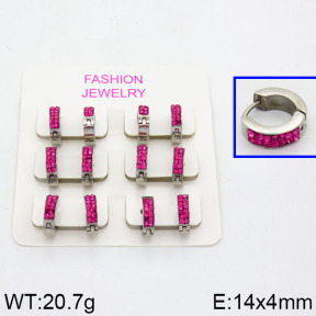 SS Earrings  2E4000189ahlv-658