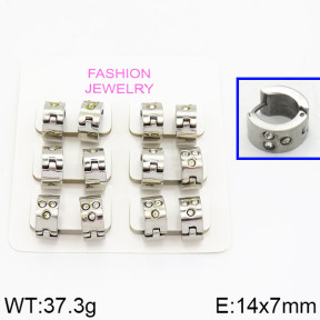 SS Earrings  2E4000191bhva-658