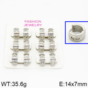 SS Earrings  2E4000192bhva-658