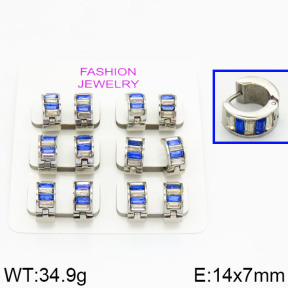 SS Earrings  2E4000199ahlv-658