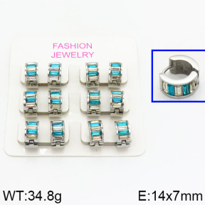 SS Earrings  2E4000200ahlv-658