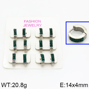 SS Earrings  2E4000202ahlv-658