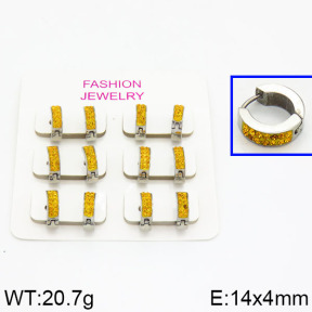 SS Earrings  2E4000203ahlv-658