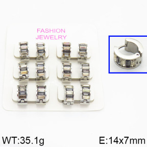 SS Earrings  2E4000206ahlv-658
