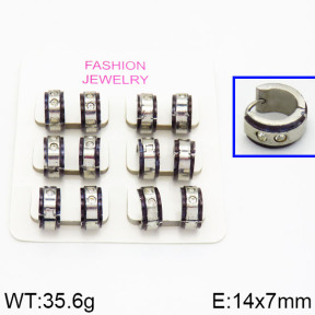 SS Earrings  2E4000208ahlv-658