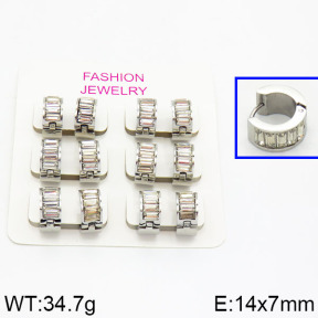 SS Earrings  2E4000211ahlv-658