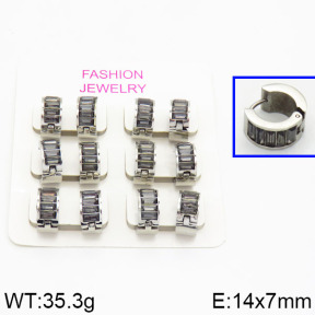 SS Earrings  2E4000212ahlv-658