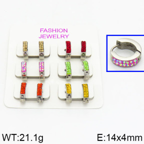 SS Earrings  2E4000216ahlv-658