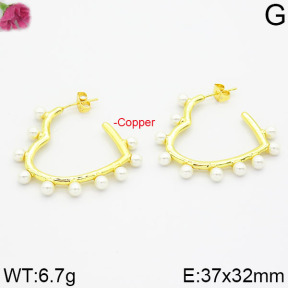 Fashion Copper Earrings  F2E300002vhov-J111