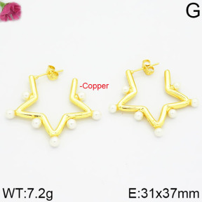 Fashion Copper Earrings  F2E300005vhnv-J111