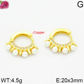 Fashion Copper Earrings  F2E300006aivb-J111