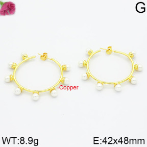 Fashion Copper Earrings  F2E300010aivb-J111