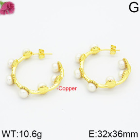 Fashion Copper Earrings  F2E300012ajha-J111