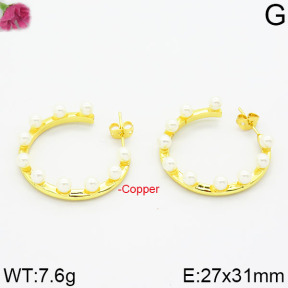 Fashion Copper Earrings  F2E400078aivb-J111
