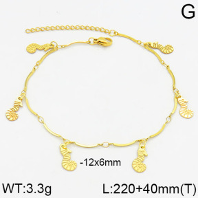 SS Anklets  2A9000050vbnb-610