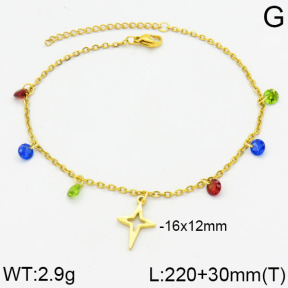 SS Anklets  2A9000055vbmb-610