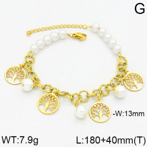 SS Bracelet  2B3000074bhbl-610