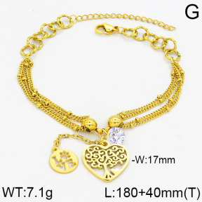 SS Bracelet  2B4000290bhva-610