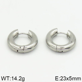 SS Earrings  2E2000082vail-900