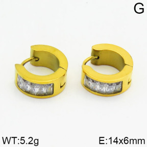 SS Earrings  2E4000220bbov-900