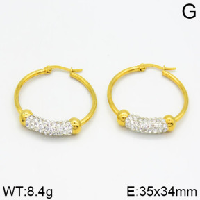 SS Earrings  2E4000221vaia-900