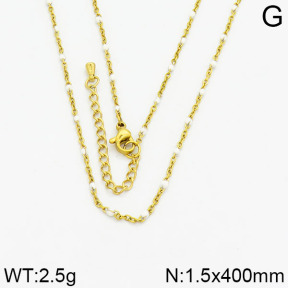 SS Necklace  2N3000146aakl-900