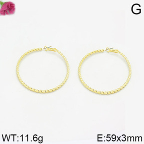 Fashion Earrings  F2E200017bhia-K69