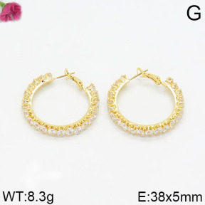 Fashion Earrings  F2E400091ahlv-K69