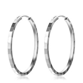 925 Silver Earrings  E:2.3*27.2mm  JE0563ajjn-M112  YJ00313