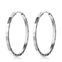 925 Silver Earrings  E:2.3*27.2mm  JE0563ajjn-M112  YJ00313