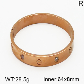 SS Bangle  5BA400242ahlv-635