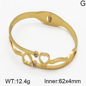 SS Bangle  5BA400250abol-685