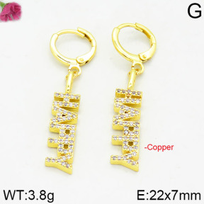 Fashion Copper Earrings  F2E400214bhia-J125