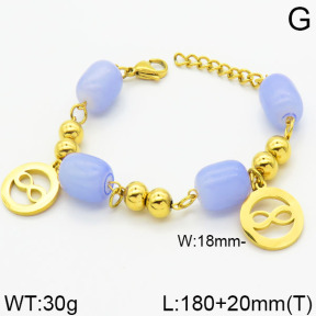 SS Bracelet  2B4000295vbpb-685