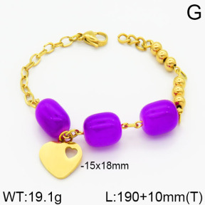 SS Bracelet  2B4000297vbpb-685