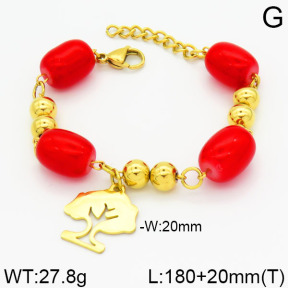 SS Bracelet  2B4000299vbpb-685