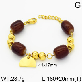 SS Bracelet  2B4000300vbpb-685