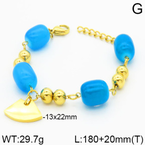 SS Bracelet  2B4000305vbpb-685