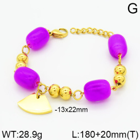 SS Bracelet  2B4000307vbpb-685