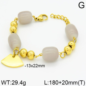 SS Bracelet  2B4000308vbpb-685