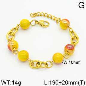 SS Bracelet  2B4000314vbpb-685