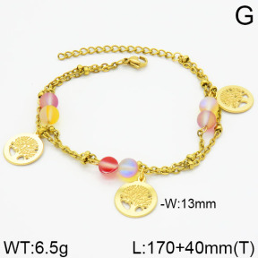 SS Bracelet  2B4000358vbpb-350