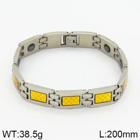 SS Bracelet  2B4000366vhmv-212