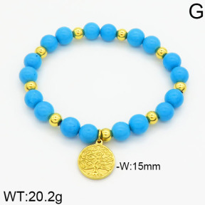 SS Bracelet  2B4000373vbpb-685