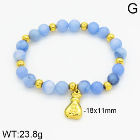 SS Bracelet  2B4000411vbpb-685