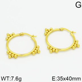 SS Earrings  2E2000100vbmb-212