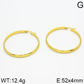 SS Earrings  2E2000101baka-212