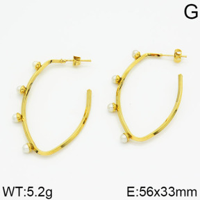 SS Earrings  2E3000255vbmb-212