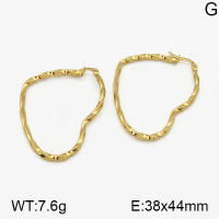 SS Earrings  5E2000649vaia-423