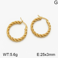SS Earrings  5E2000650vbmb-423